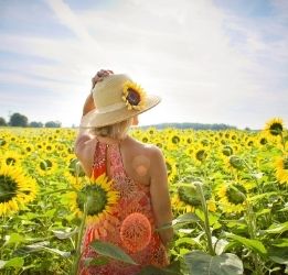 Why is so Important you Get Enough Vitamin D