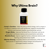 Ultima Sport Ultima Sport Brain